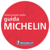Michelin - excellence